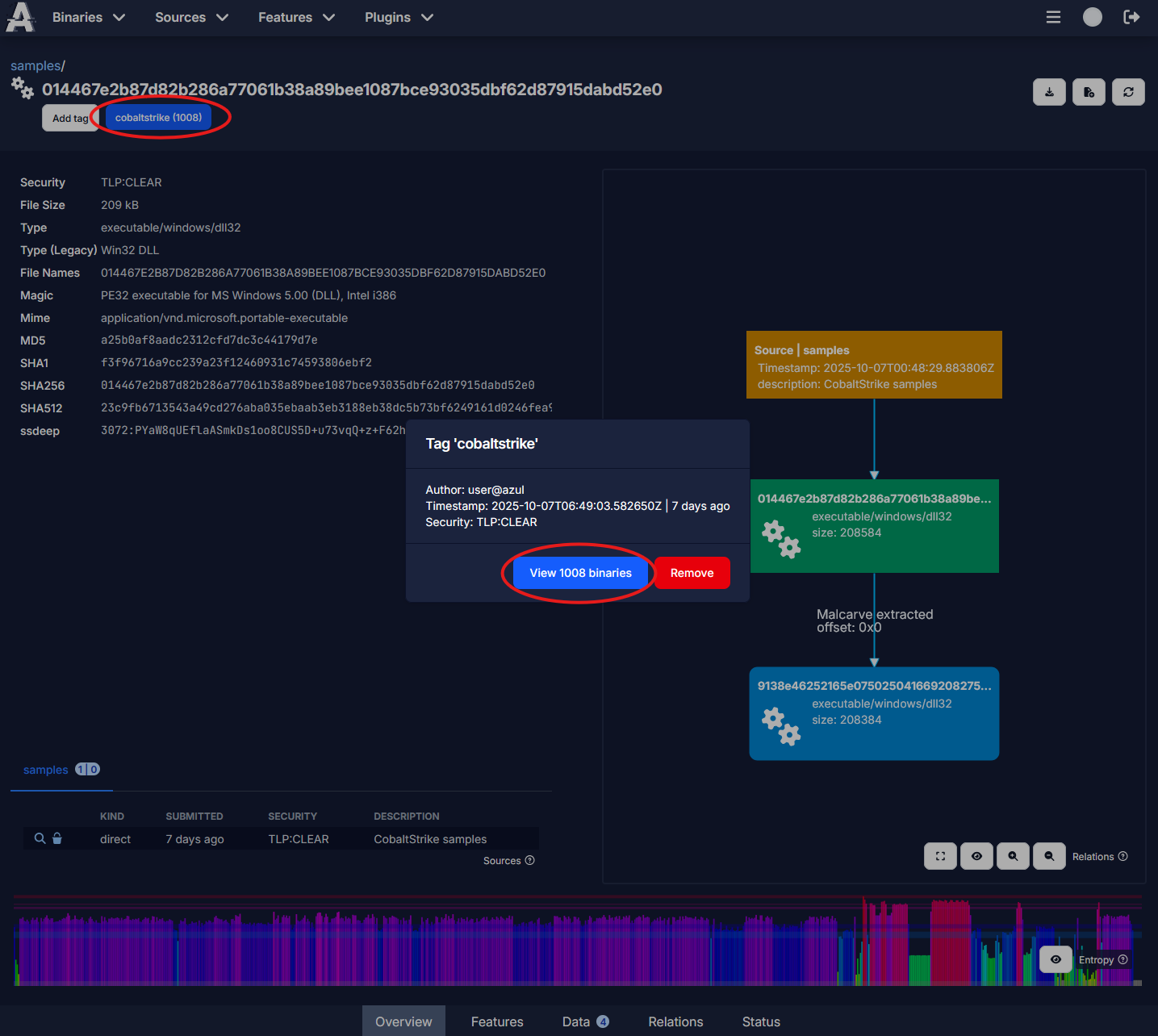 screenshot of binary tag