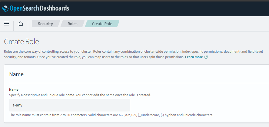screenshot of creating role s-any