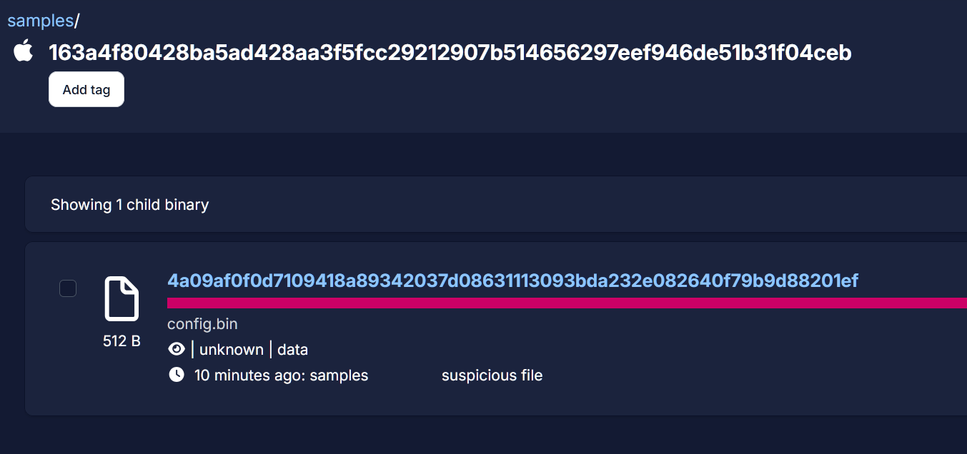 screenshot of uploaded child binary viewed from relationships tab